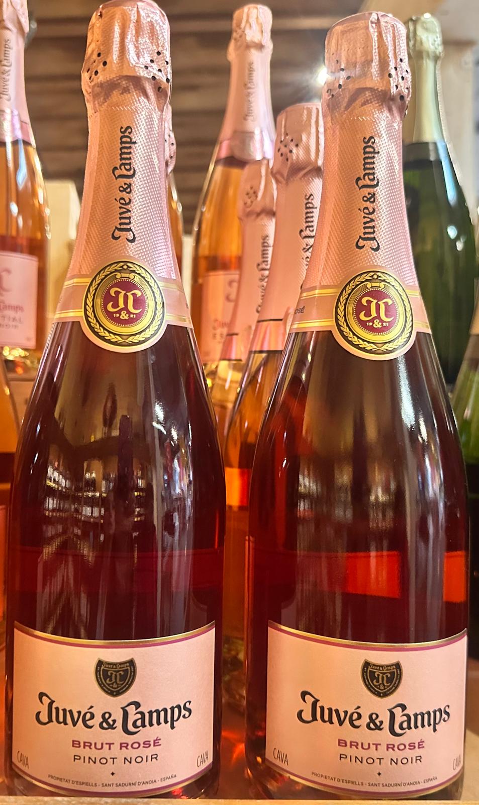 Juvé & Camps Brut Rosé Pinot Noir Cava, 0,75l
