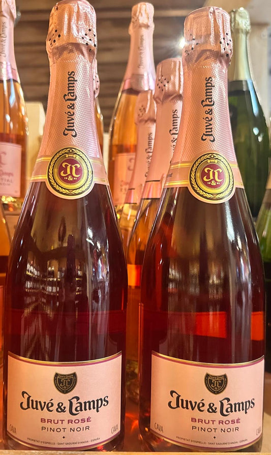 Juvé & Camps Brut Rosé Pinot Noir Cava, 0,75l